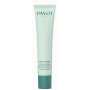 Payot Pâte Grise Tinted Perfecting Cream Spf30 40ml