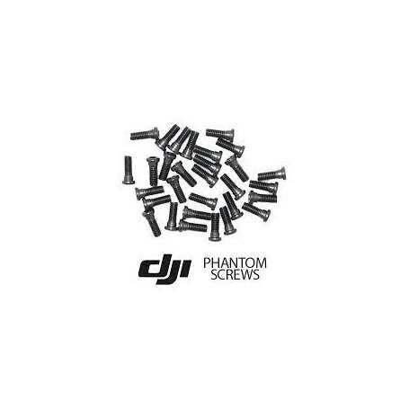 Ricambio DJI Phantom 2 Vision Set Viti Part 21