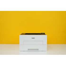 G&G GP3300DW Single Funzione A4 33ppm Wi-Fi