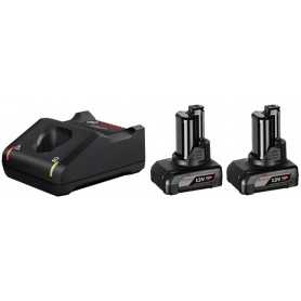 1600A01B20,Kit 2x Batterie 12V 6.0Ah + Caricabatteria
