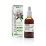 Soria Extracto Valeriana S Xxi 50ml