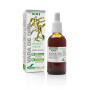 Soria Extracto Vara Oro S Xxi 50ml