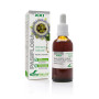 Soria Extracto Pasiflora S Xxi 50ml