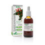 Soria Extracto Zarzaparrilla S Xxi 50ml