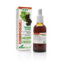 Soria Composor 23 Hyssopus S Xx1 50ml