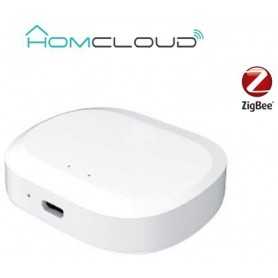 Centralina intelligente Hub Termovalvole - Zigbee+Bluetooth