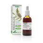 Soria Extracto Regaliz S Xxi 50ml