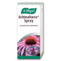 Vogel Echinaforce Spray 30ml