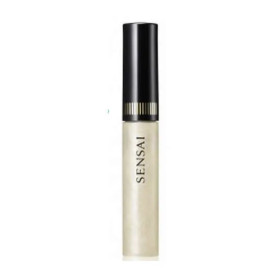 Kanebo Silky Lip Gloss 02