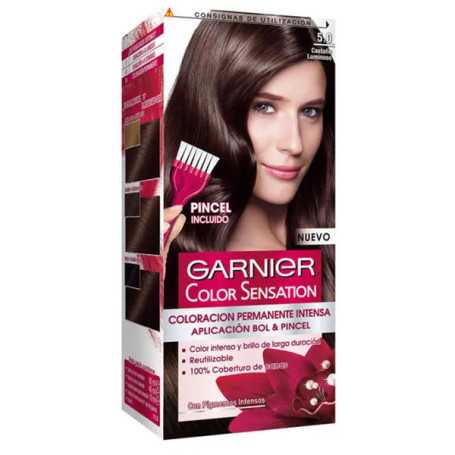 Garnier Color Sensation 5 Castaño Luminoso 