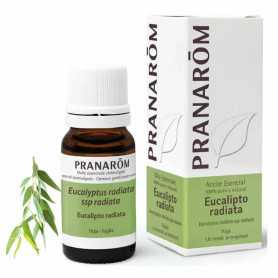 Pranarom Eucalyptus Radiata Essential Oil 10ml
