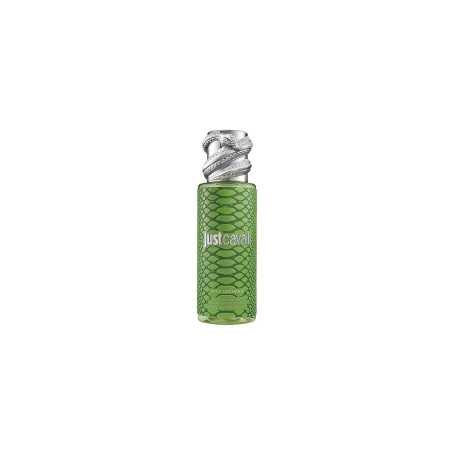 Roberto Cavalli Rc Just Cavalli Mist Green 250ml