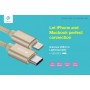 Cavo Dati e Carica da Lightning a USB Tipo C 2.4 A. Gold