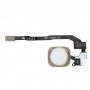 Pulsante Home Completo Per iPhone 5S Gold