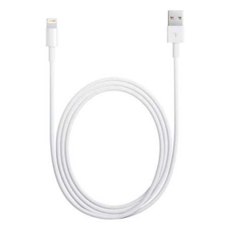 CAVO LIGHTNING A USB 2M APPLE MD819ZM/A