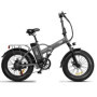 BICICLETTA ELETTRICA THE ONE ACTIVE 250W ICON.E GRAY