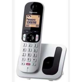 CORDLESS PANASONIC KX-TGC250JTS CON VIVAVOCE SILVER