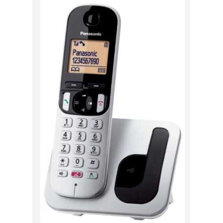 CORDLESS PANASONIC KX-TGC250JTS CON VIVAVOCE SILVER