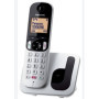CORDLESS PANASONIC KX-TGC250JTS CON VIVAVOCE SILVER